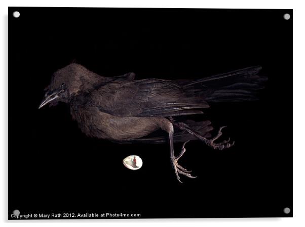 Black Bird Acrylic by Mary Rath