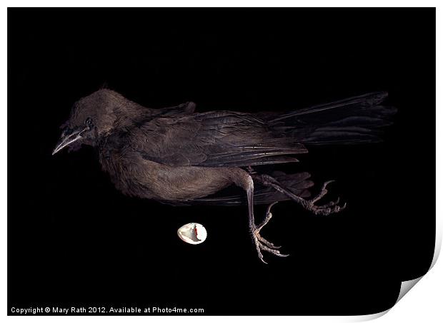 Black Bird Print by Mary Rath