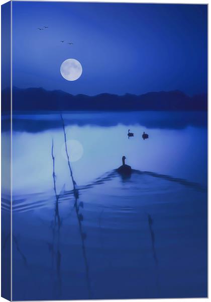 INTO THE MIDNIGHT BLUE Canvas Print by Tom York