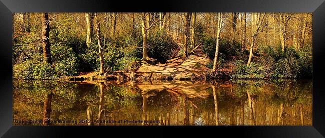 Spring reflections Framed Print by Sean Wareing