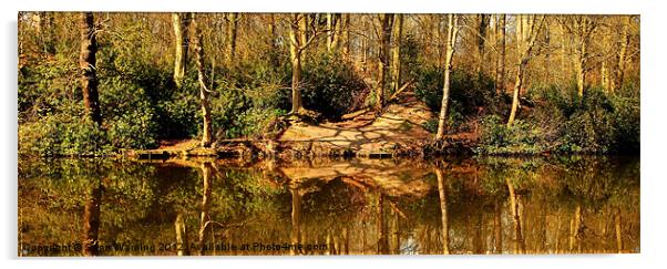 Spring reflections Acrylic by Sean Wareing