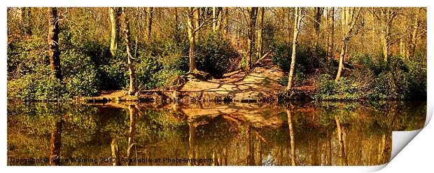 Spring reflections Print by Sean Wareing
