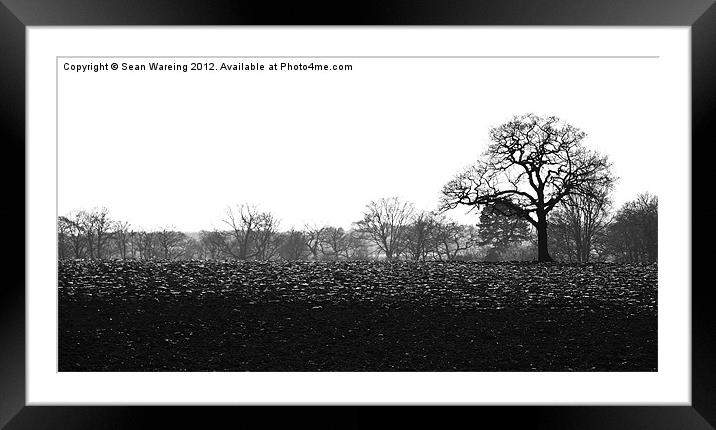 Ploughed Field Framed Mounted Print by Sean Wareing