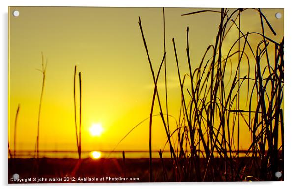 Parkgate Grass at Sunset Acrylic by john walker