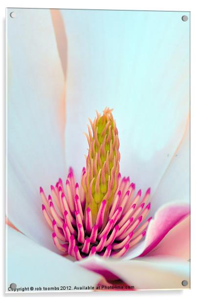 MAGNOLIA Acrylic by Rob Toombs