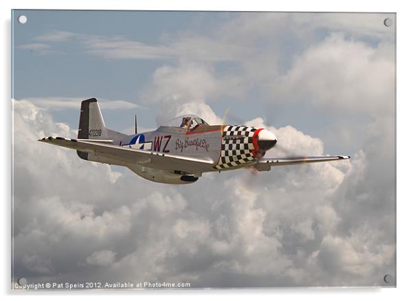 P51 Mustang - 'Doll' Acrylic by Pat Speirs