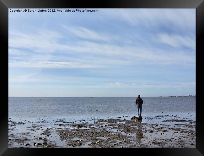 Looking out at low tide Framed Print by Sarah Osterman