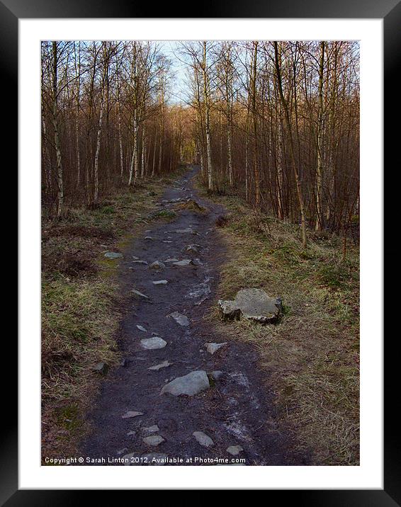 Path through the forest Framed Mounted Print by Sarah Osterman