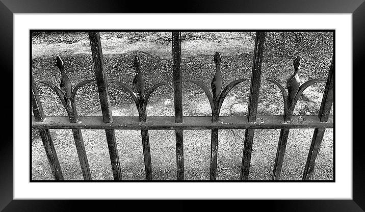 beyond the railings Framed Mounted Print by Heather Newton