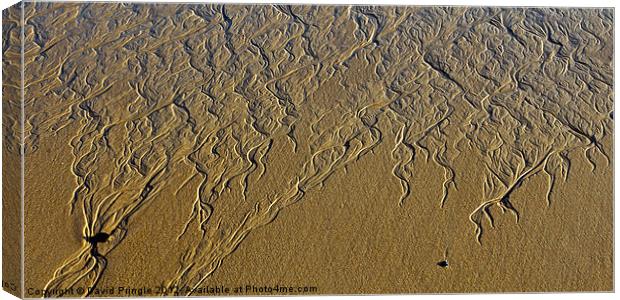 Patterns In Sand Canvas Print by David Pringle