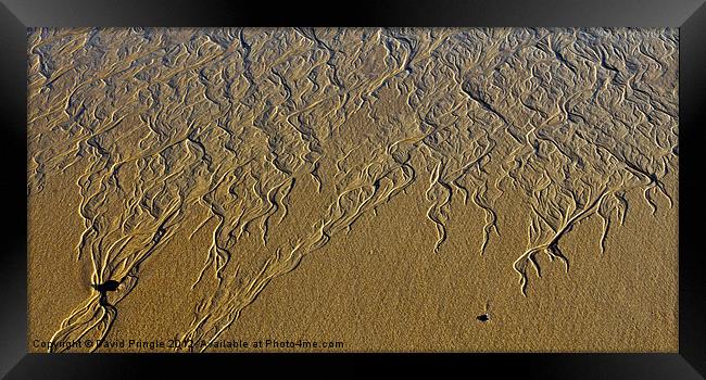 Patterns In Sand Framed Print by David Pringle