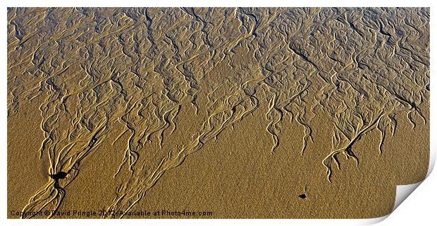 Patterns In Sand Print by David Pringle