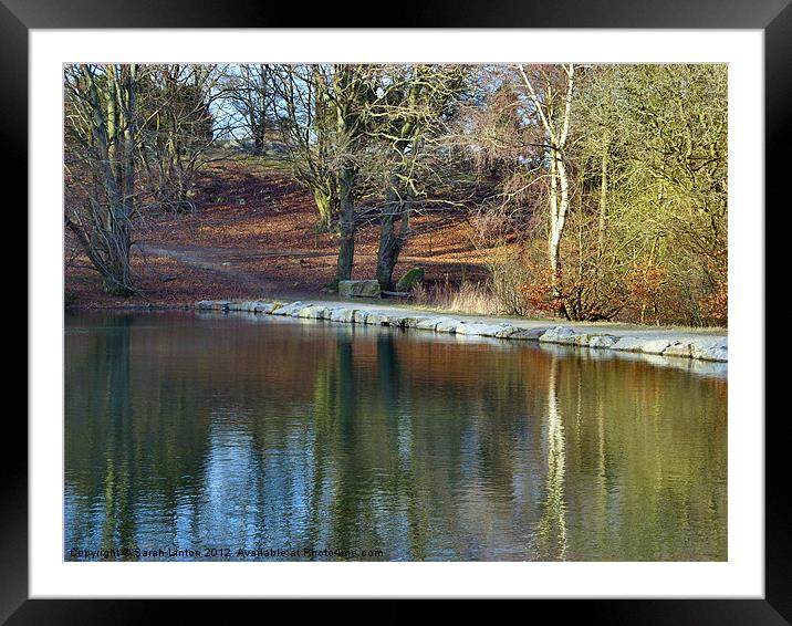 Forest Lake 2 Framed Mounted Print by Sarah Osterman