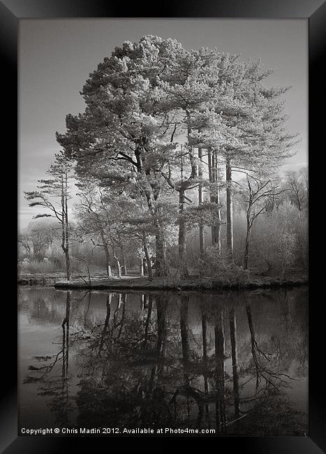 Infrared Trees with Reflection Framed Print by Chris Martin