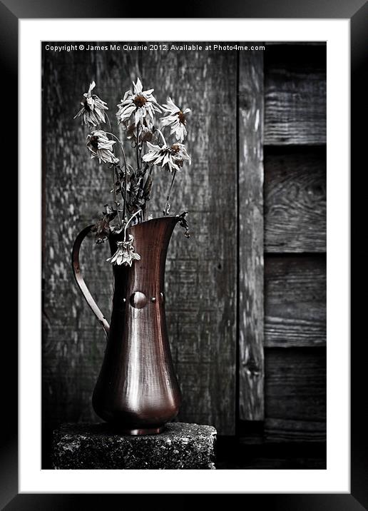 Yesterdays Flowers Framed Mounted Print by James Mc Quarrie