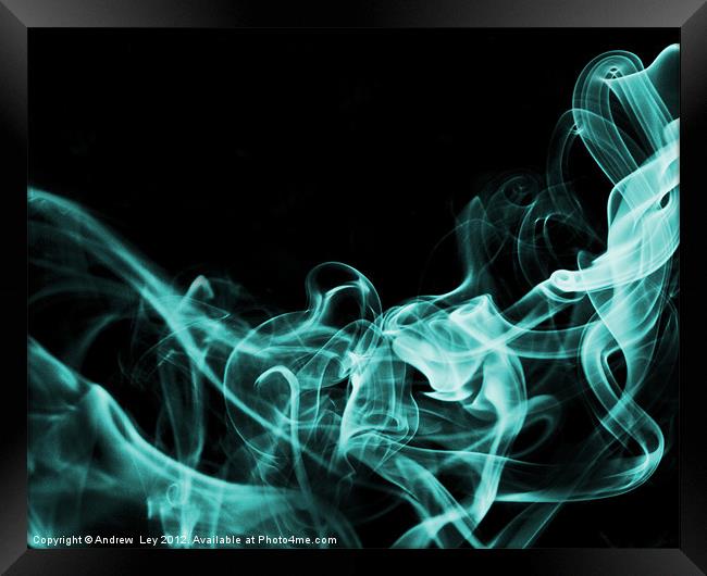 Smoking the blues away Framed Print by Andrew Ley