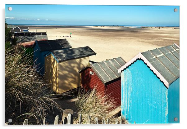 Beach Hut Back Yard Acrylic by Stephen Mole
