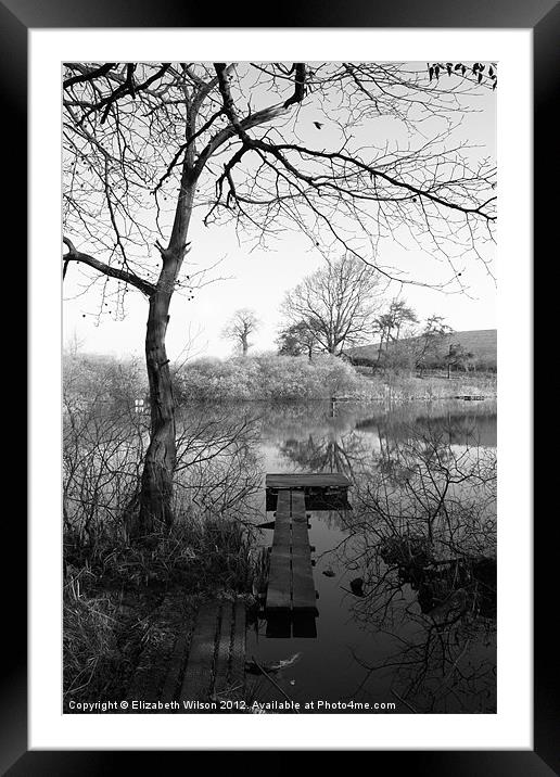 Throxenby Mere #2 Framed Mounted Print by Elizabeth Wilson-Stephen