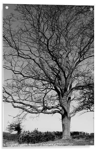 Proud Tree Acrylic by Elizabeth Wilson-Stephen