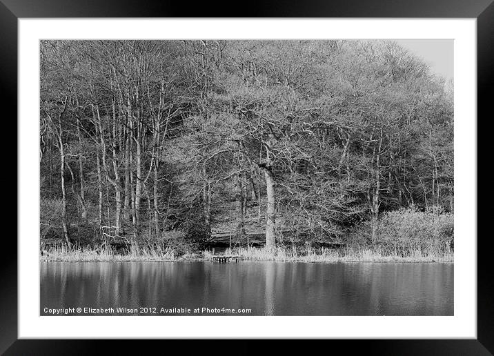 Trees and Water Framed Mounted Print by Elizabeth Wilson-Stephen