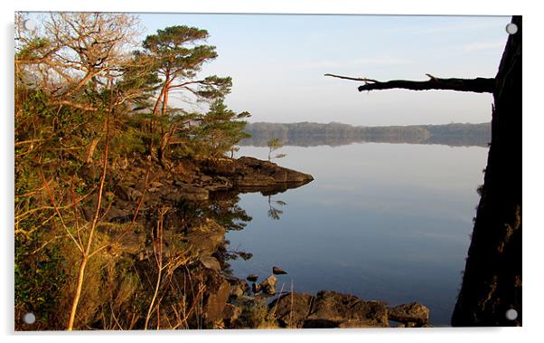 Morning on the Lake Acrylic by barbara walsh