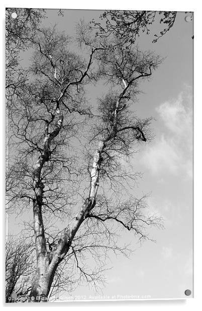 Tree and Sky Acrylic by Elizabeth Wilson-Stephen