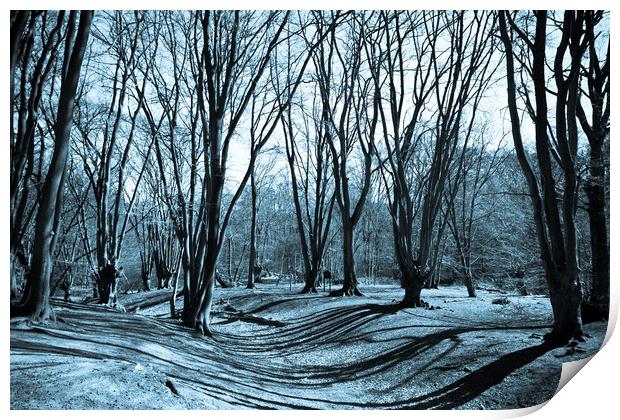 Ambresbury Banks Bronze Age fortification Print by David Pyatt