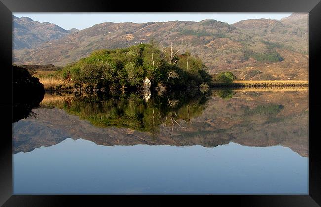 Reflections Framed Print by barbara walsh