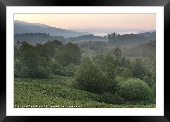 Scottish Woodland Mist Framed Mounted Print by Philip Pound