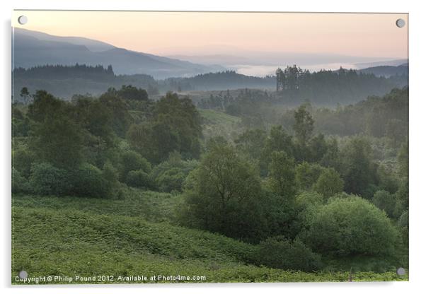 Scottish Woodland Mist Acrylic by Philip Pound