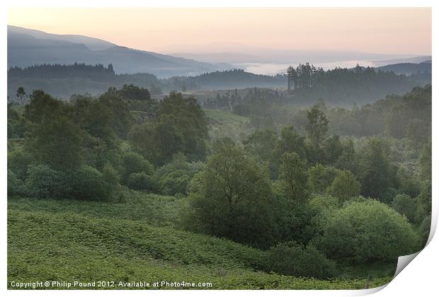 Scottish Woodland Mist Print by Philip Pound