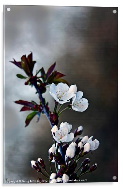 Spring Blossom Acrylic by Doug McRae