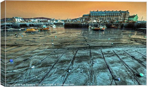 Harbouring Colour Canvas Print by Rob Hawkins