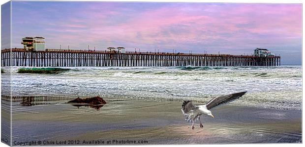 Oceanside Canvas Print by Chris Lord