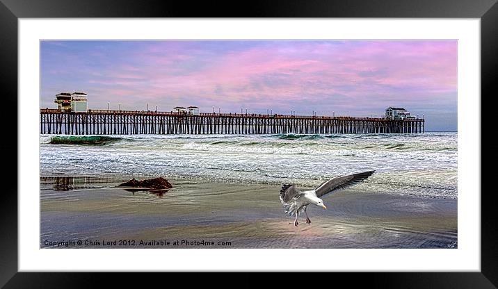 Oceanside Framed Mounted Print by Chris Lord