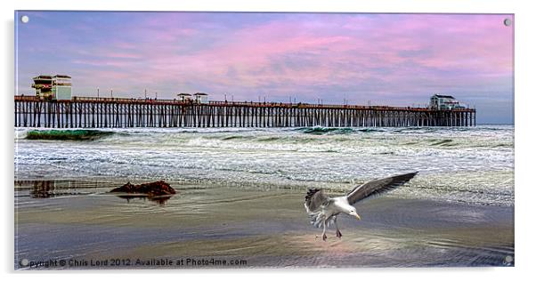 Oceanside Acrylic by Chris Lord
