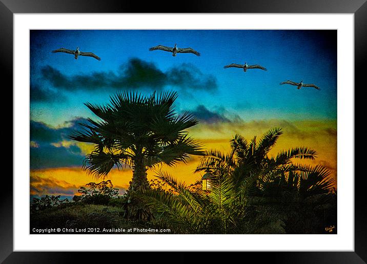 Tropical Sunset With Pelicans Framed Mounted Print by Chris Lord