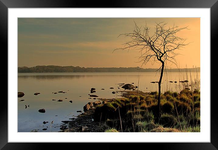 Morning at the Lake Framed Mounted Print by barbara walsh
