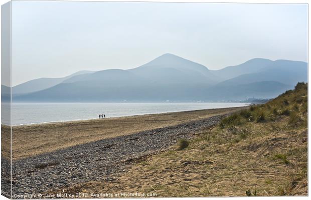 Mourne Mountains, Newcastle, Co Down Canvas Print by Jane McIlroy