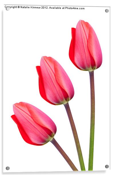 Three Red Tulips Acrylic by Natalie Kinnear