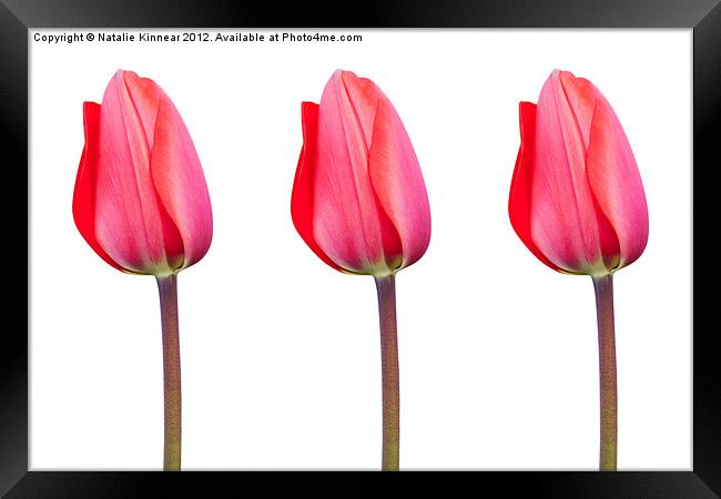 Three Red Tulips in a Row Framed Print by Natalie Kinnear