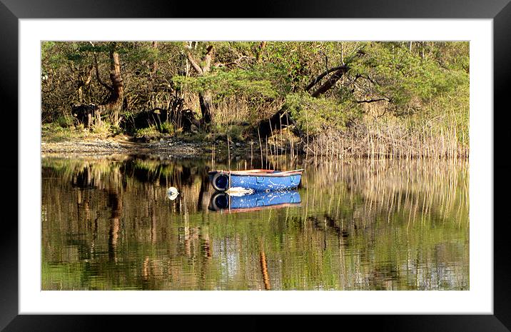 Boat on Muckross Lake Framed Mounted Print by barbara walsh