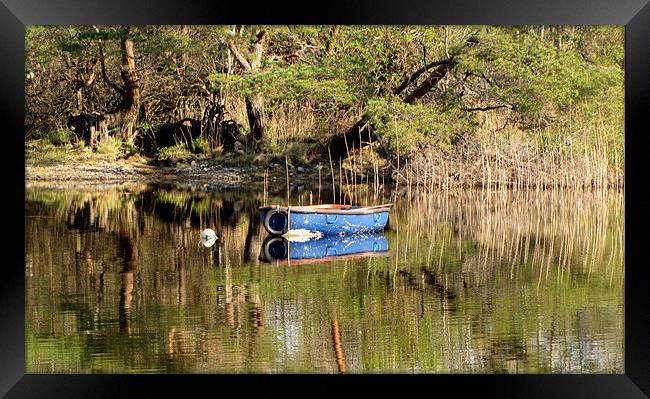 Boat on Muckross Lake Framed Print by barbara walsh