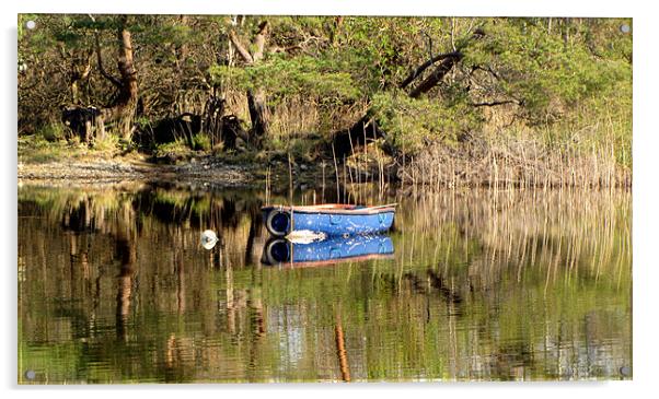 Boat on Muckross Lake Acrylic by barbara walsh