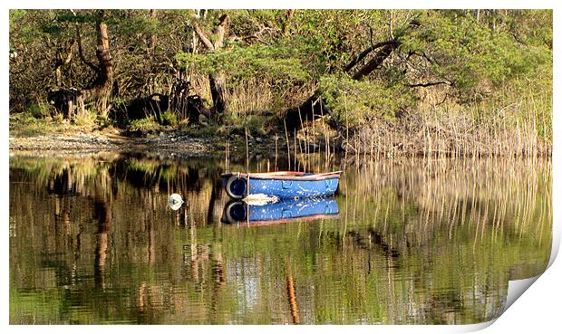 Boat on Muckross Lake Print by barbara walsh