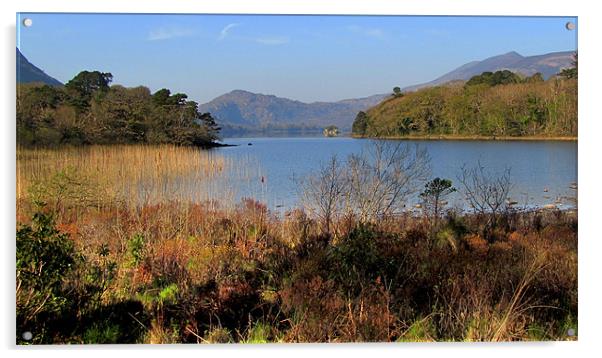 Muckross Lake Acrylic by barbara walsh