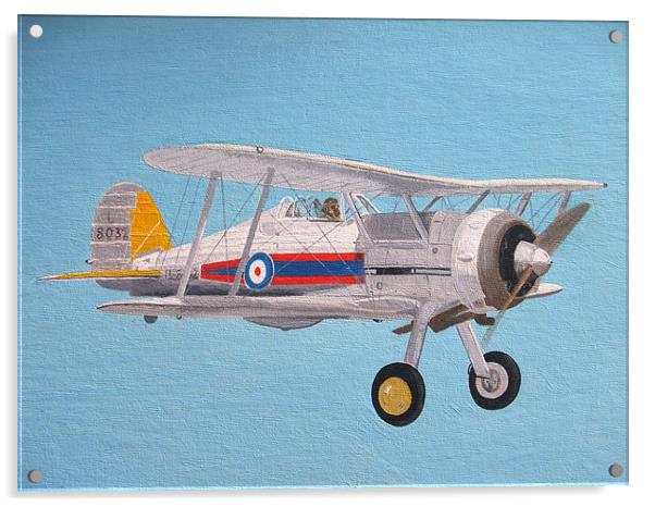 Gloster Gladiator Acrylic by Olive Denyer