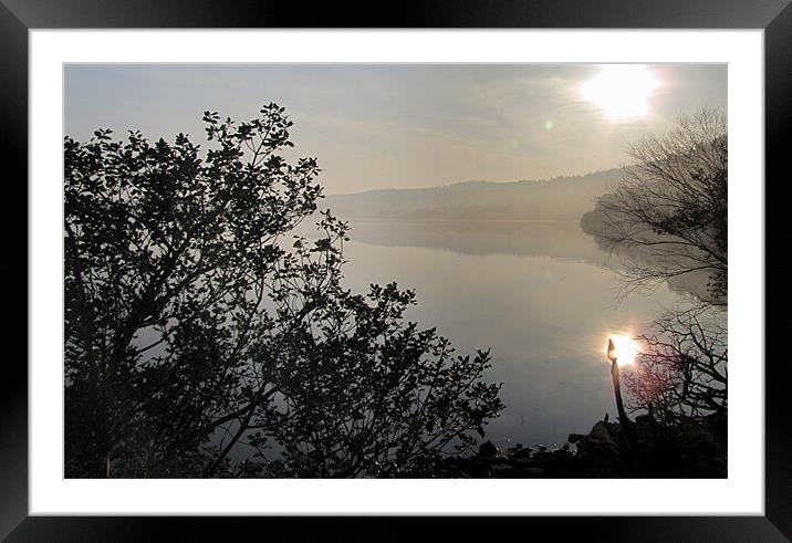Morning at the Lake Framed Mounted Print by barbara walsh