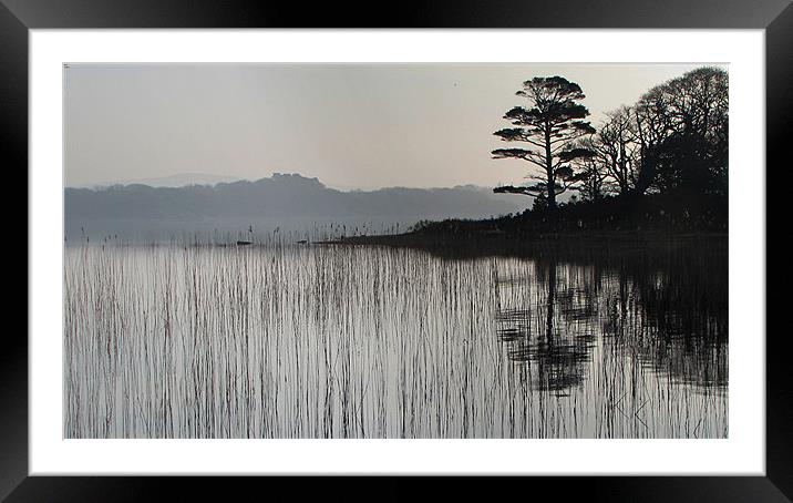 Morning in Killarney National Park Framed Mounted Print by barbara walsh