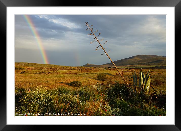 Rain and Rainbow Framed Mounted Print by Digby Merry